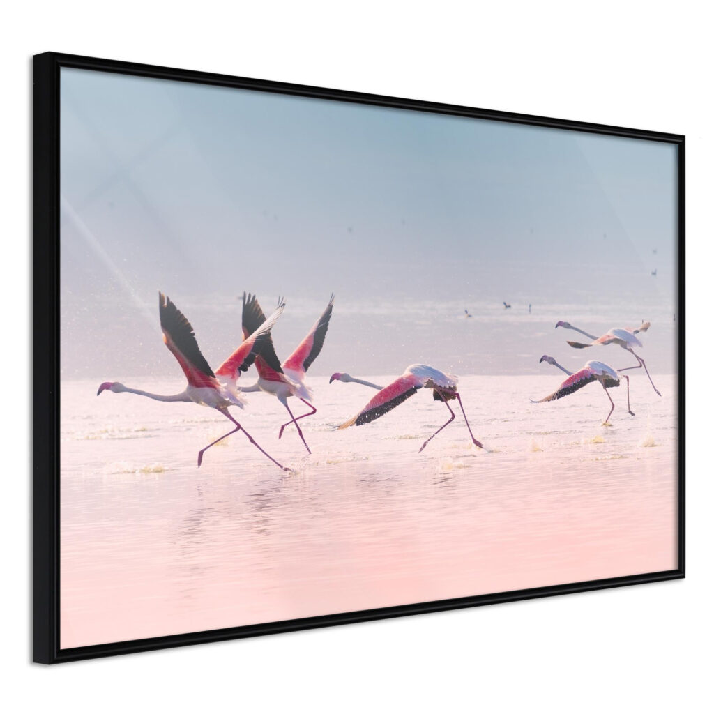 Flamingos Breaking into a Flight