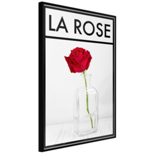 Rose in the Vase
