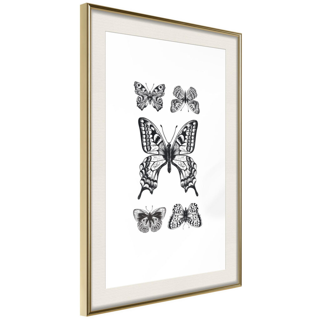 Butterfly Collection IV