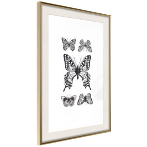 Butterfly Collection IV