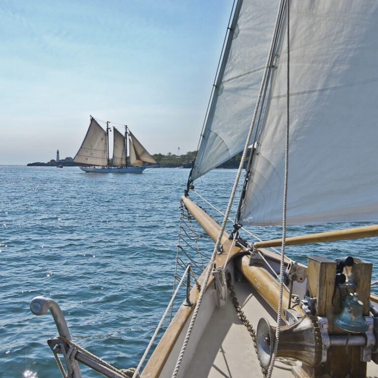 Foto behang Sailing 8-526