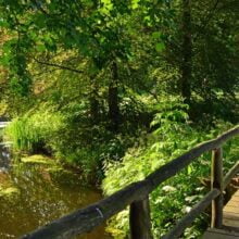 Foto behang Hemmen Holland 8326