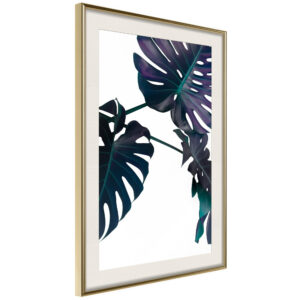 Evergreen Monstera