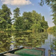 Foto behang Meije Holland 8777