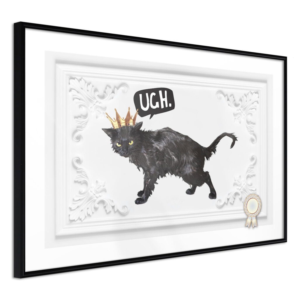 Cat Rules I