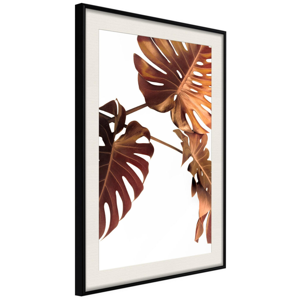 Copper Monstera - Afbeelding 2