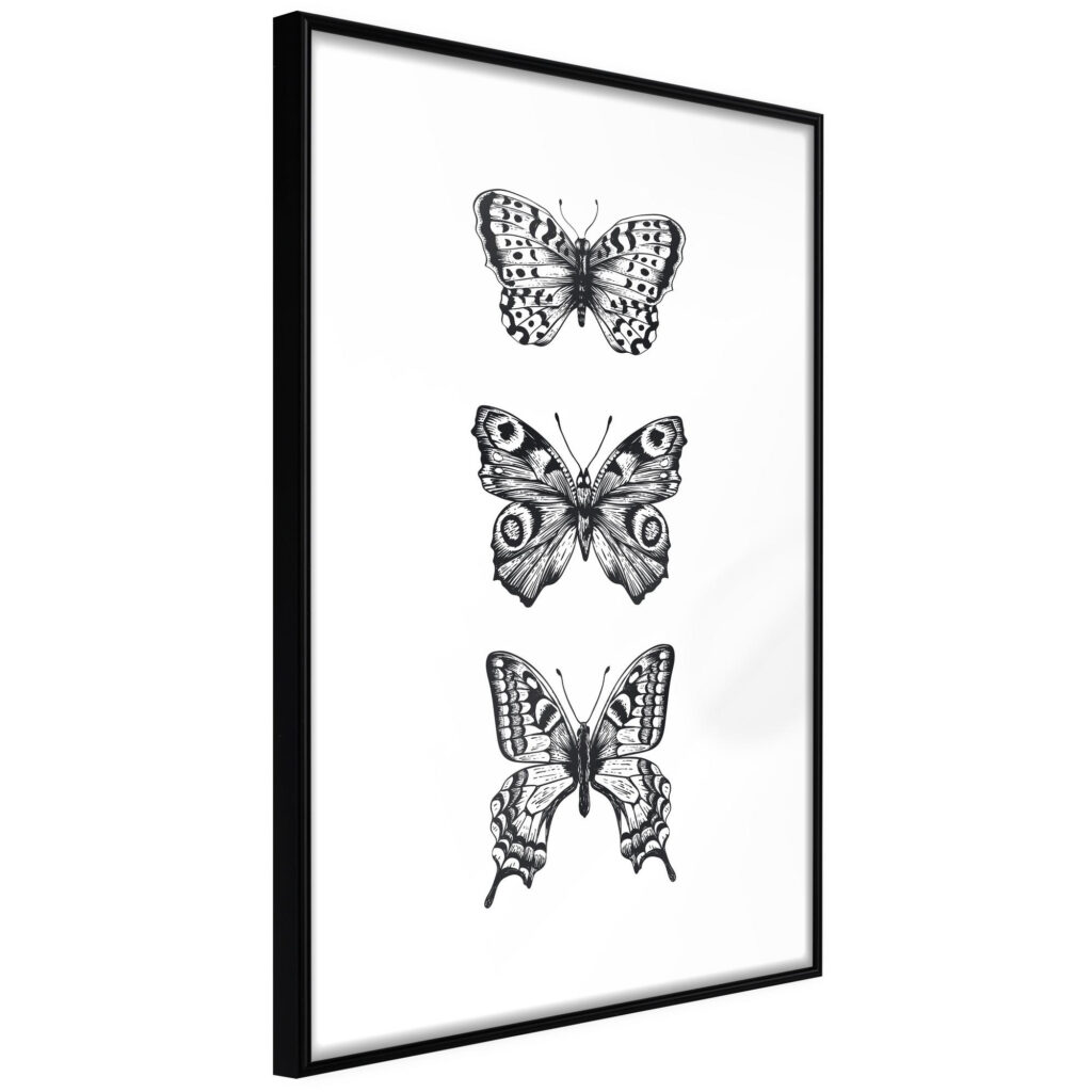 Butterfly Collection III