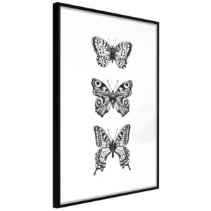 Butterfly Collection III