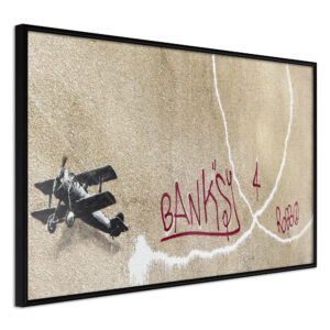 Banksy: Love Plane