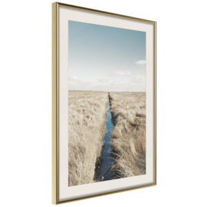 Drainage Ditch
