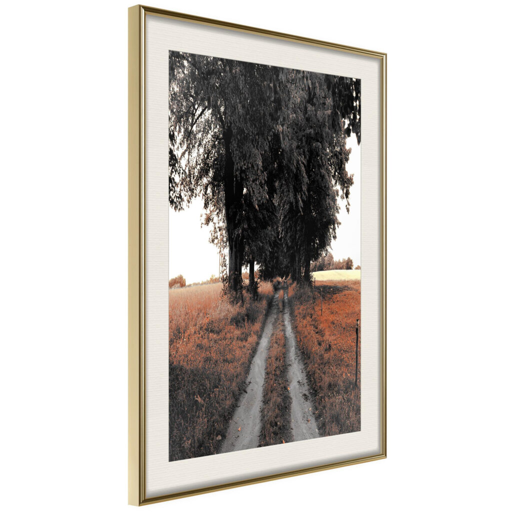 Field Path - Afbeelding 2