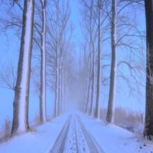 Foto behang Winterochtend Holland 9836