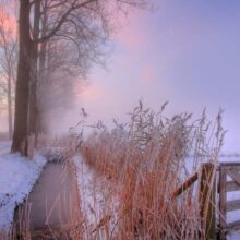 Foto behang Winterochtend Holland 9890