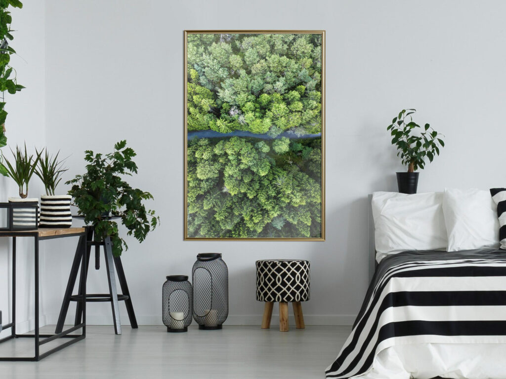 Forest from a Bird's Eye View - Afbeelding 4