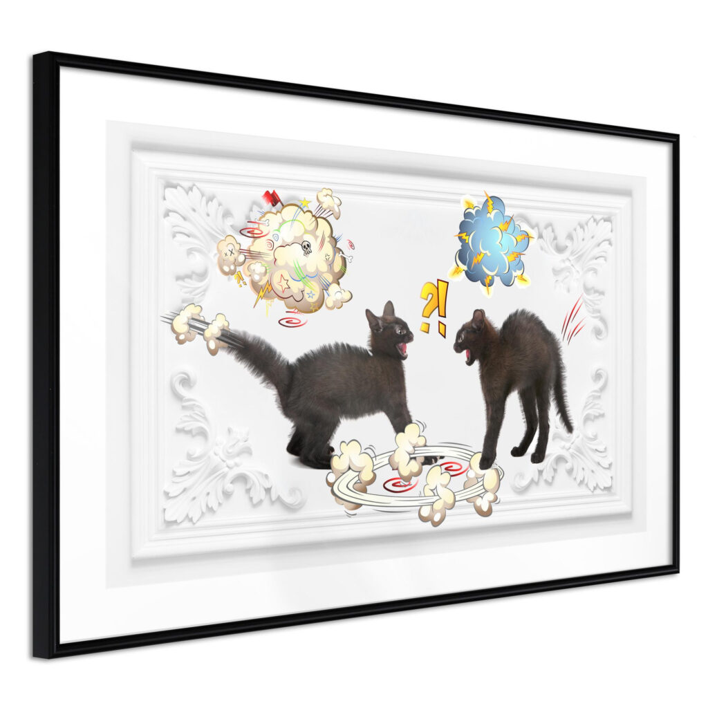 Cat Fight