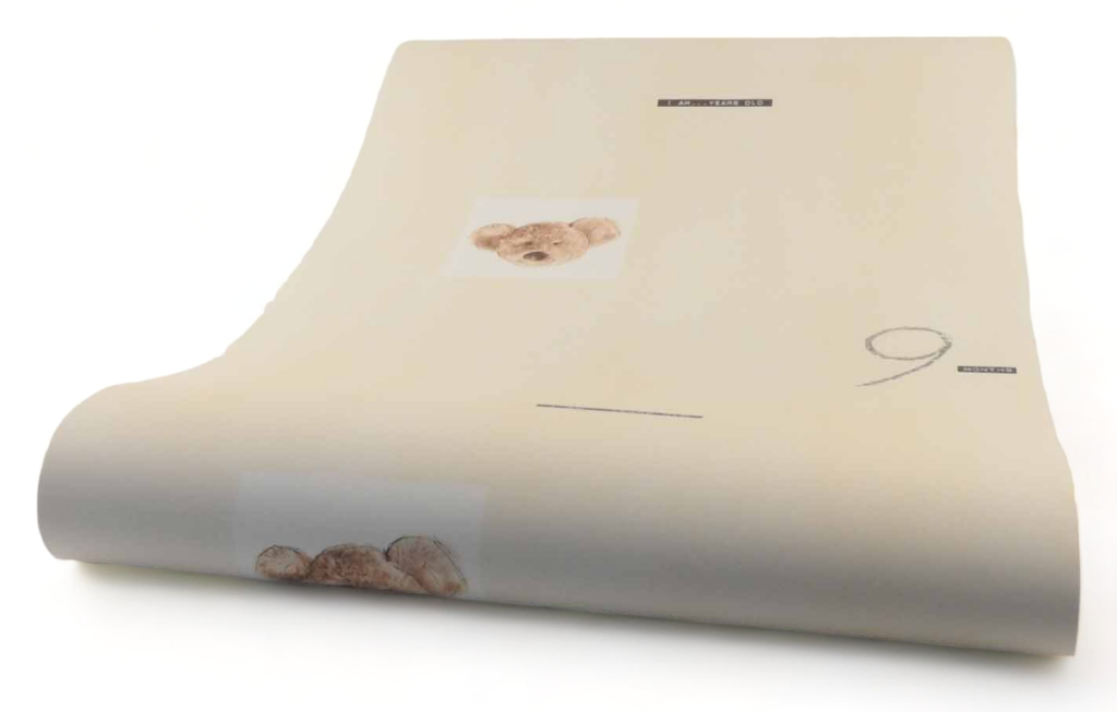 Papier behang 911525 Sanders&Sanders