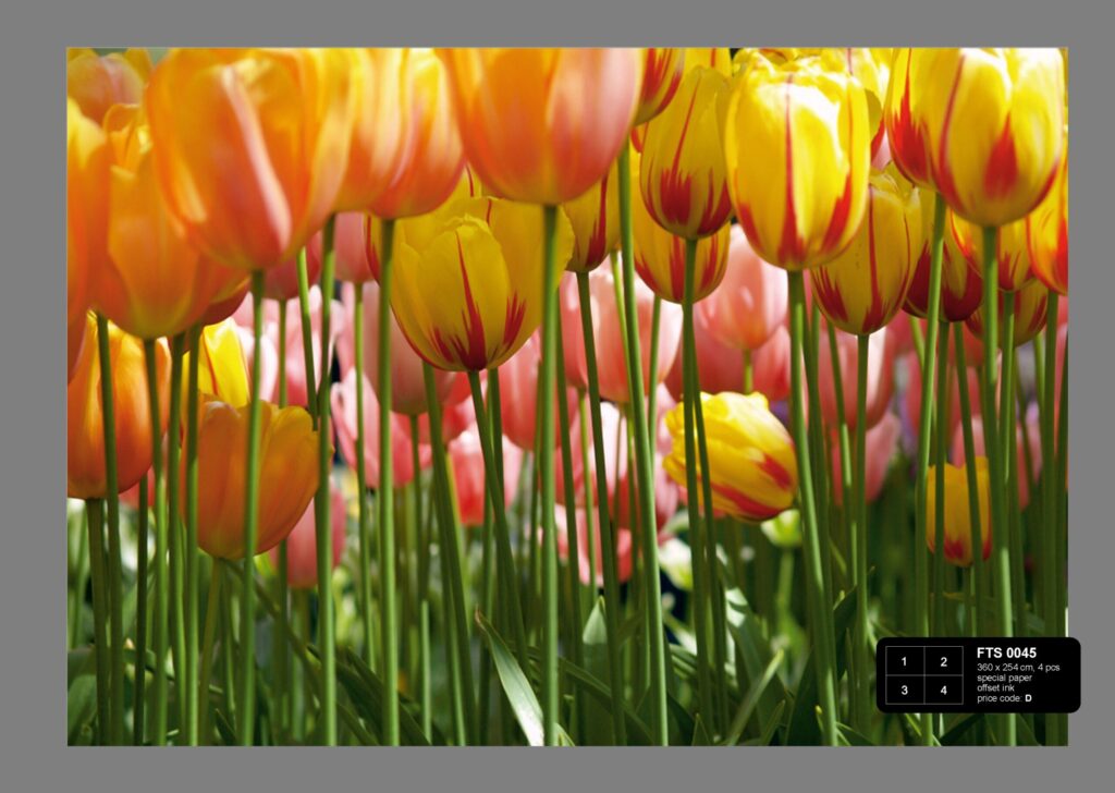 Foto behang Tulpen FTS0045 - Afbeelding 2