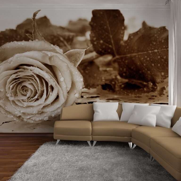 Foto behang Zwarte Roos FTS0086