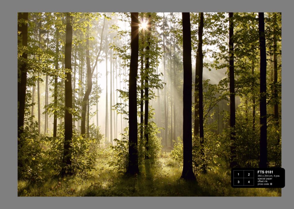 Foto behang Bos FTS0181