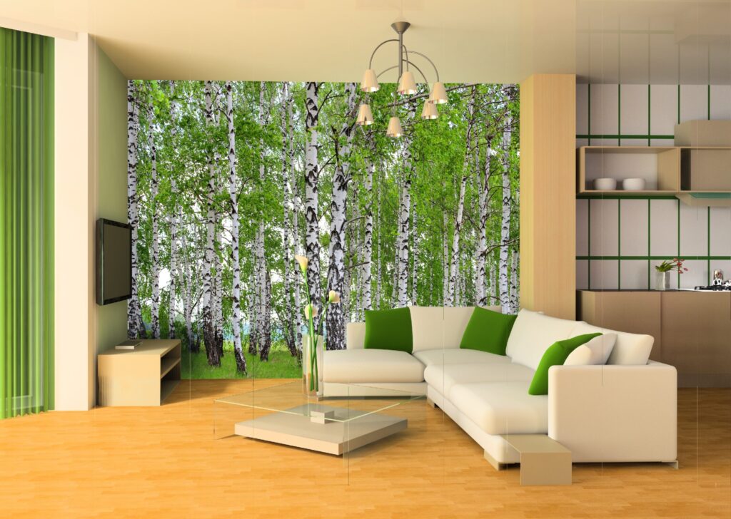Foto behang Berkenbos FTS1304 - Afbeelding 2