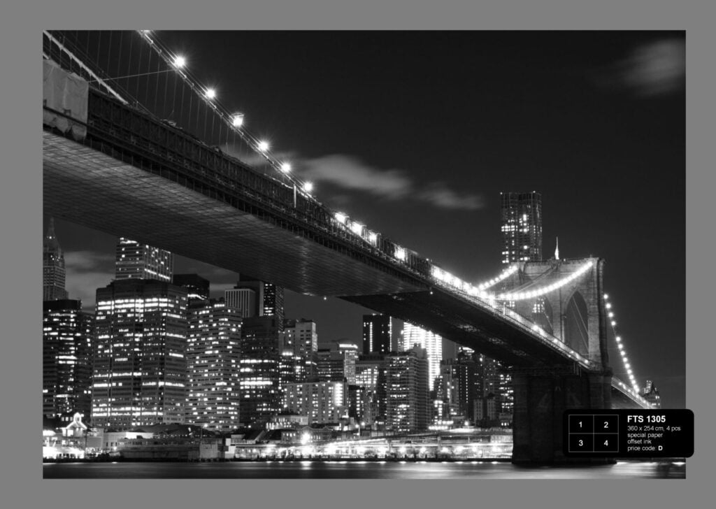 Foto behang Brooklyn Bridge FTS1305