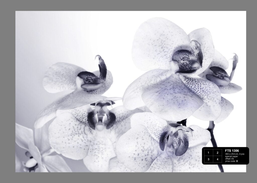 Foto behang Orchideeën FTS1306