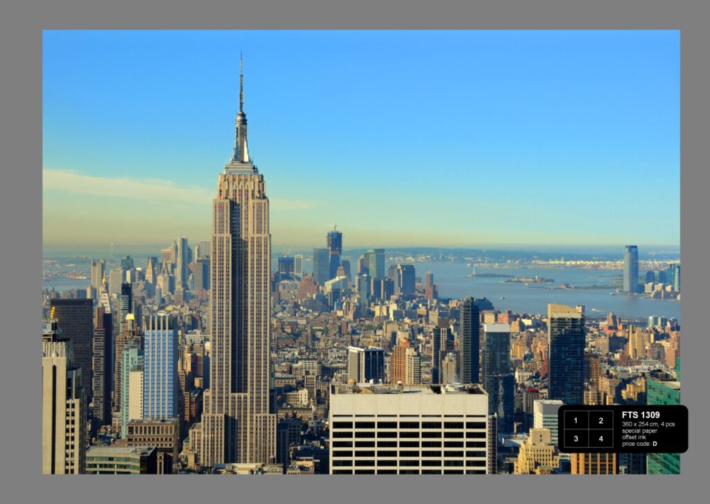 Foto behang Manhattan New York FTS1309
