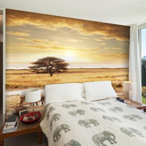 Fotobehang - African zebras around watering hole