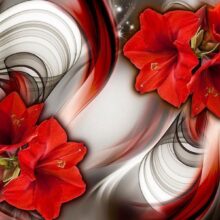 Fotobehang - Amaryllis - Ballad of the Red