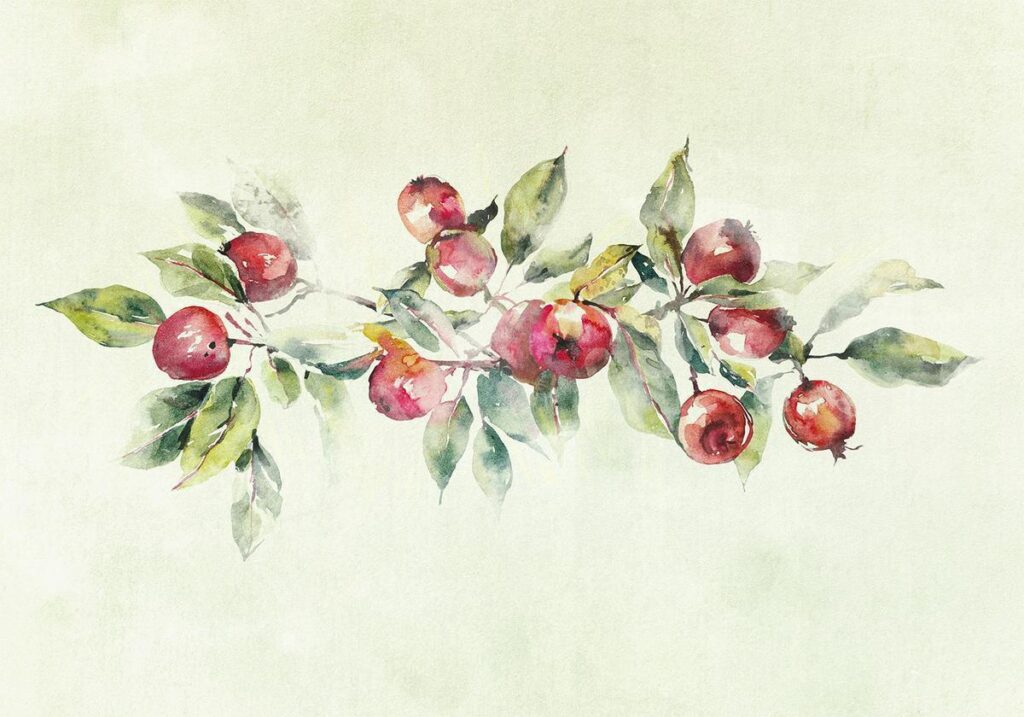 Fotobehang - Apple branch - delicate landscape with a plant and apples on a white background - Afbeelding 2