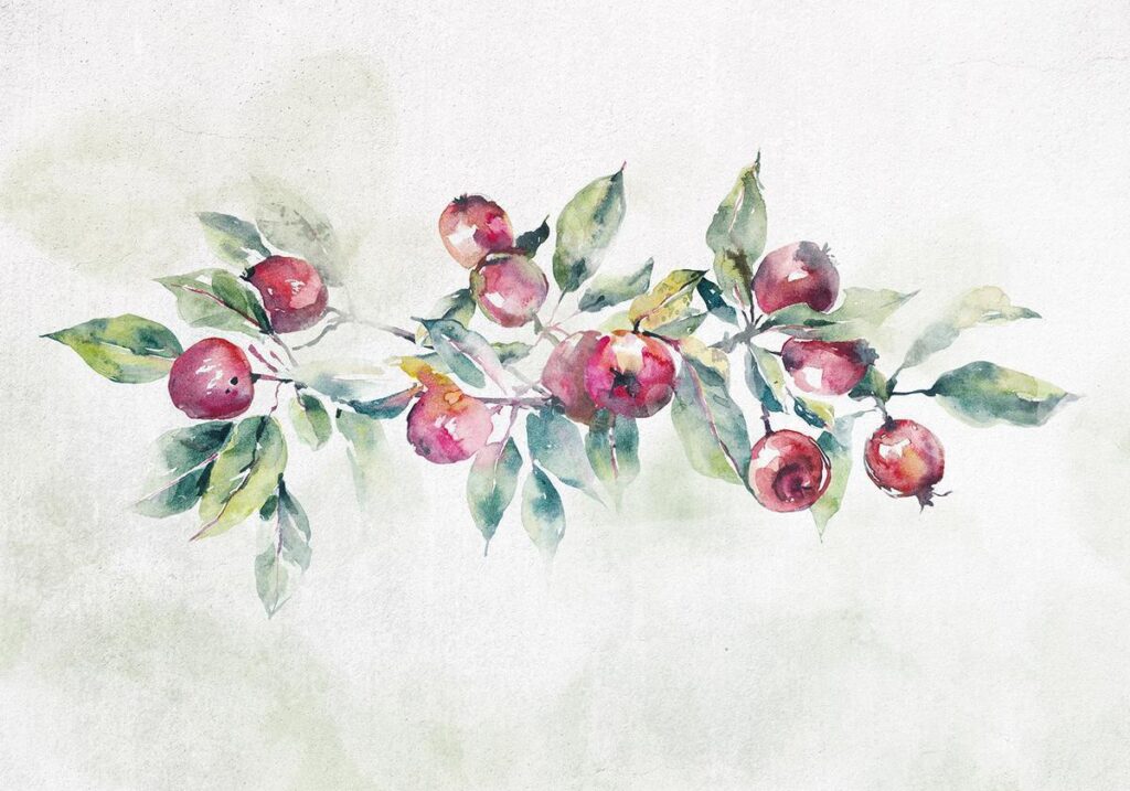 Fotobehang - Apple branch - landscape with a plant and red apples on a white background - Afbeelding 2