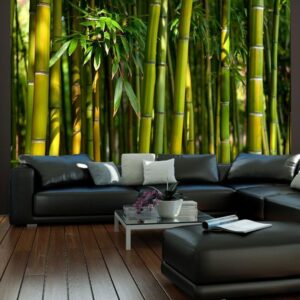 Fotobehang - Asian bamboo forest