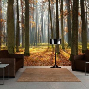 Fotobehang - Autumn trees