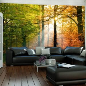 Fotobehang - Beautiful autumn