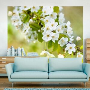 Fotobehang - Beautiful delicate cherry blossoms