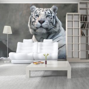 Fotobehang - Bengali tiger in zoo
