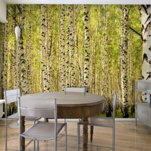 Fotobehang - Birch forest