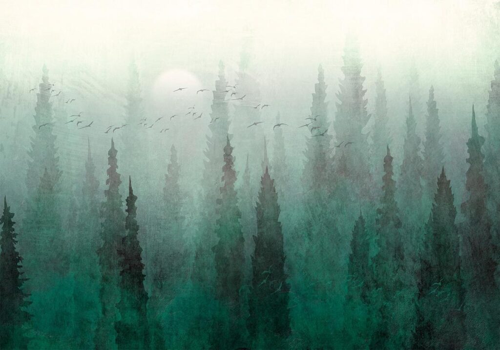 Fotobehang - Bird's eye perspective - landscape of a green forest with trees in the mist - Afbeelding 2