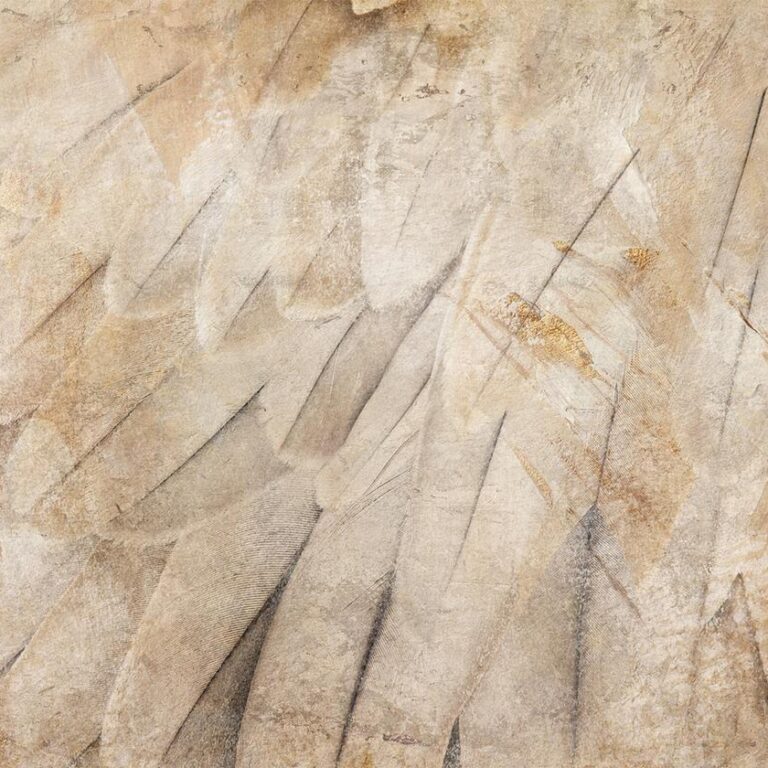 Fotobehang - Bird's wings - minimalist close-up on beige feathers with pattern