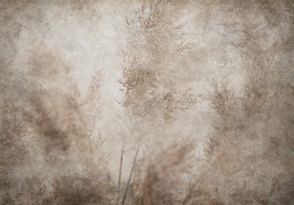 Fotobehang - Blown Away by the Wind