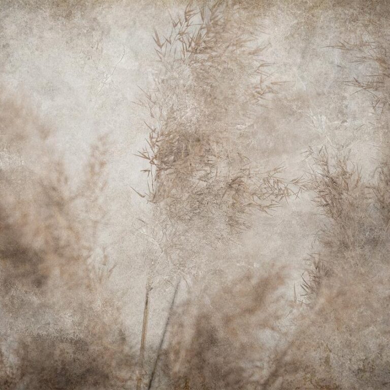Fotobehang - Blown Away by the Wind