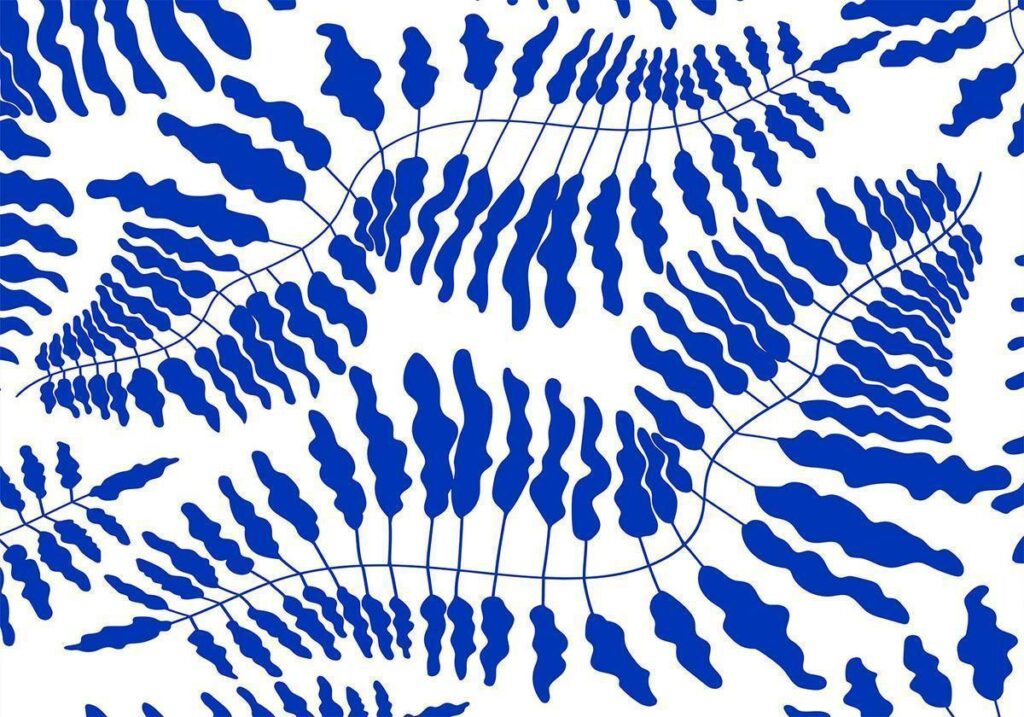 Fotobehang - Blue Fern - Afbeelding 2