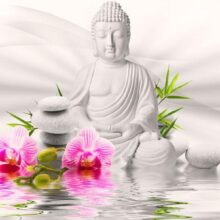 Fotobehang - Buddha and Orchids