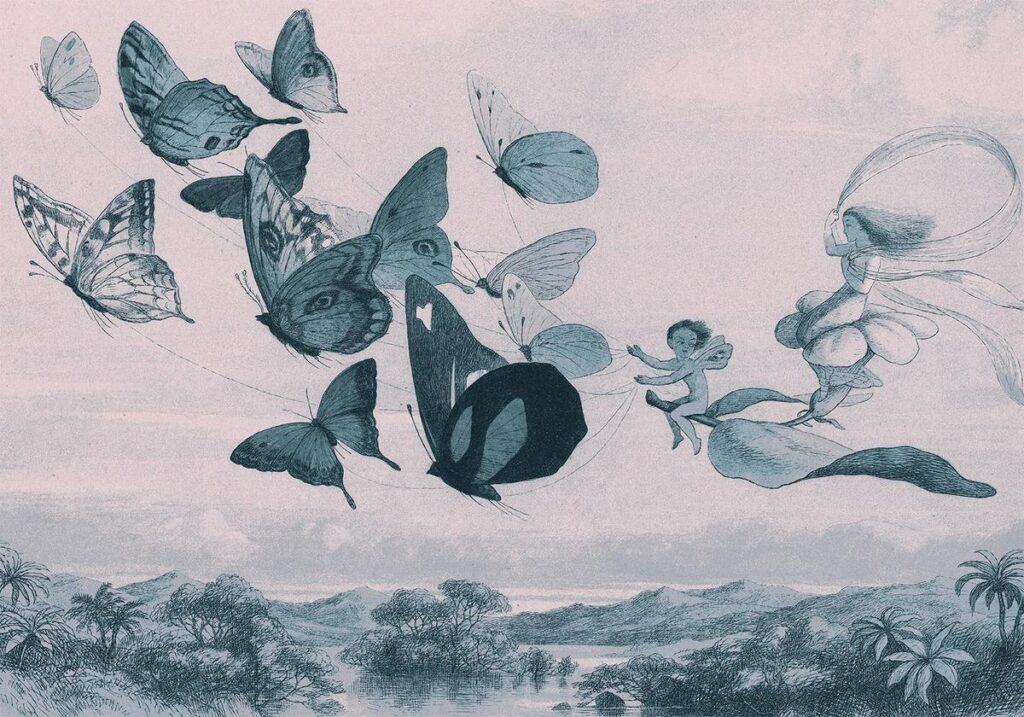 Fotobehang - Butterflies and Fairy