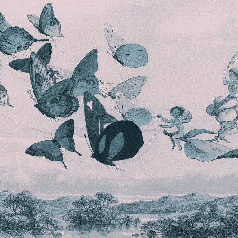 Fotobehang - Butterflies and Fairy