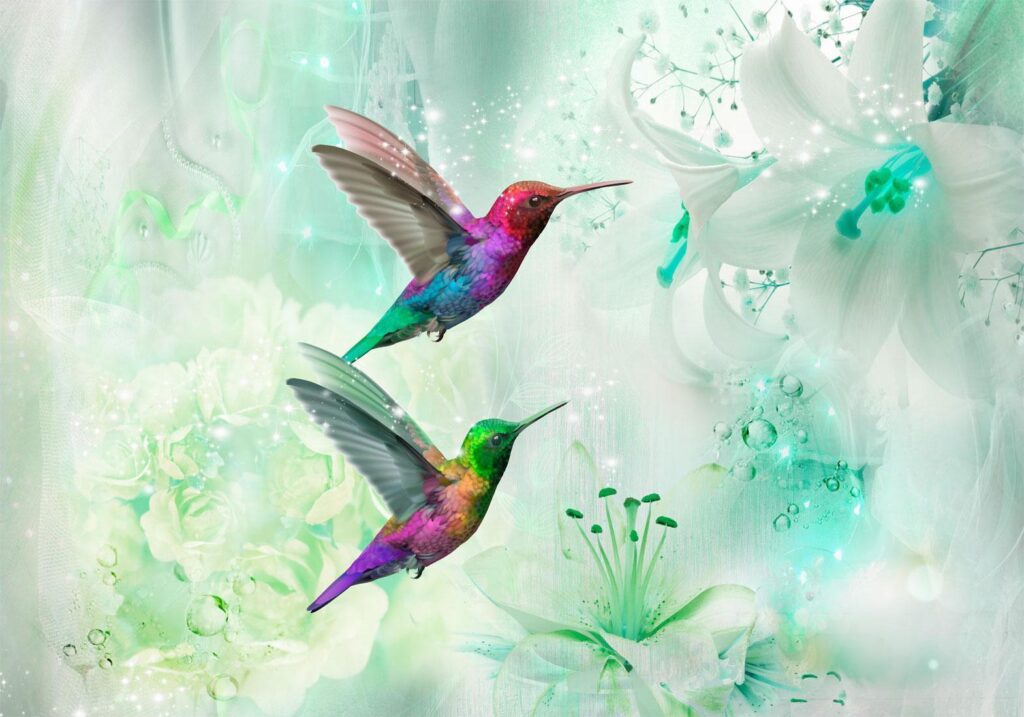 Fotobehang - Colourful Hummingbirds (Green) - Afbeelding 2
