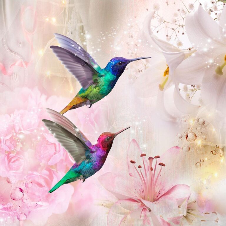 Fotobehang - Colourful Hummingbirds (Pink)