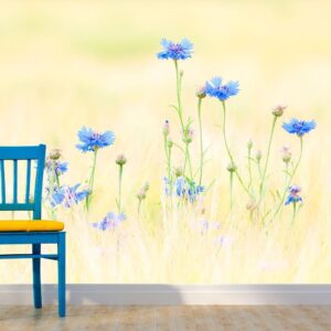 Fotobehang - Cornflowers