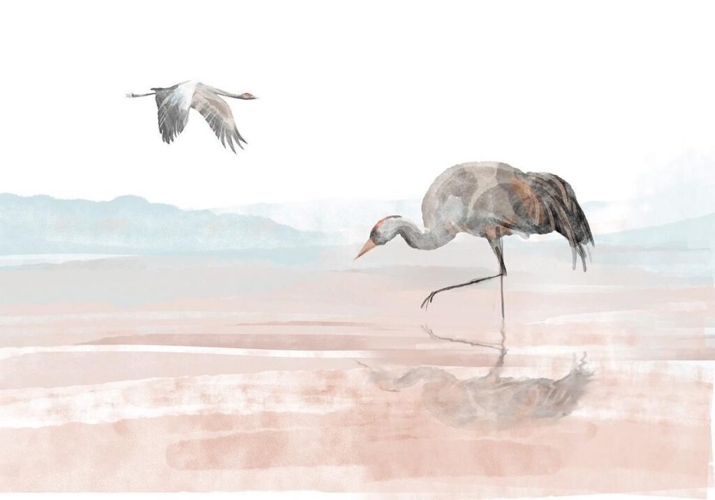 Fotobehang - Cranes Over the Water - Afbeelding 2