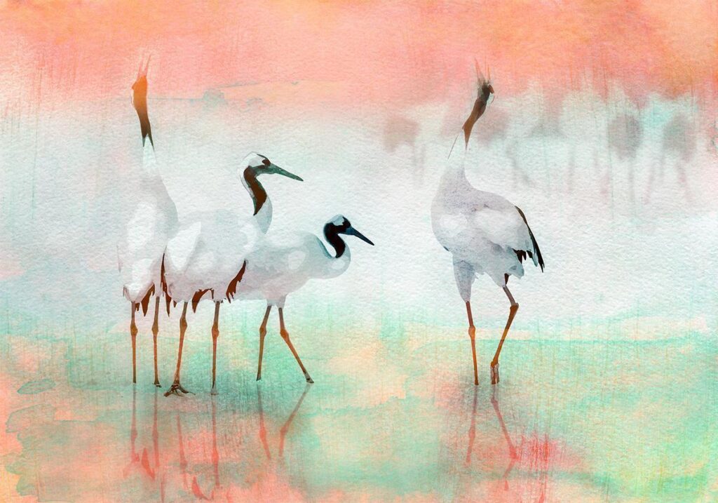Fotobehang - Cranes in Pastels - Afbeelding 2